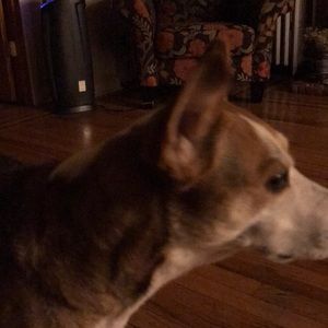 Meet your Posher, Frank